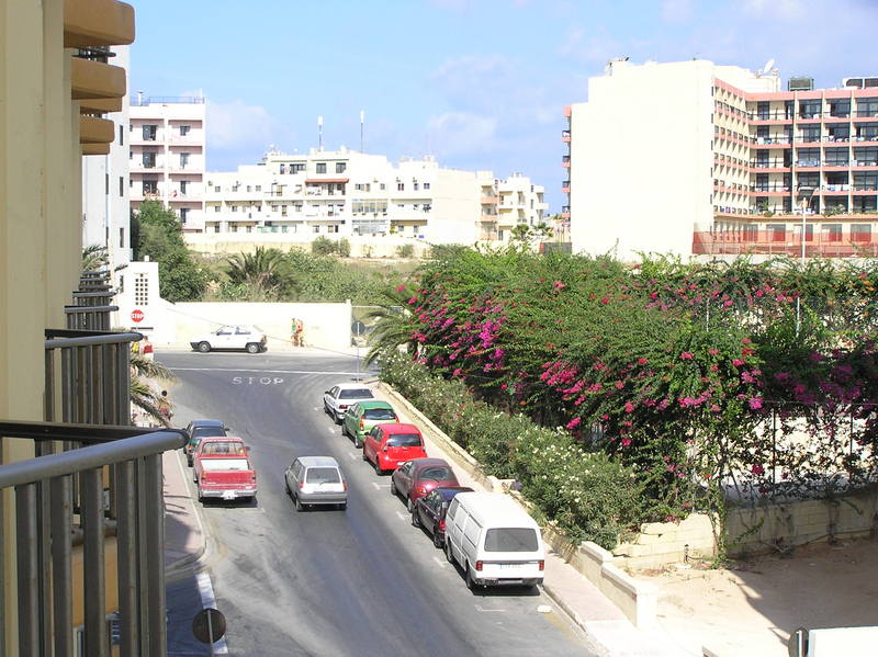 p8190005.jpg