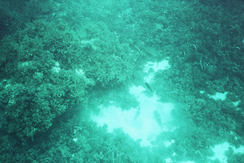 _9a_0037.jpg