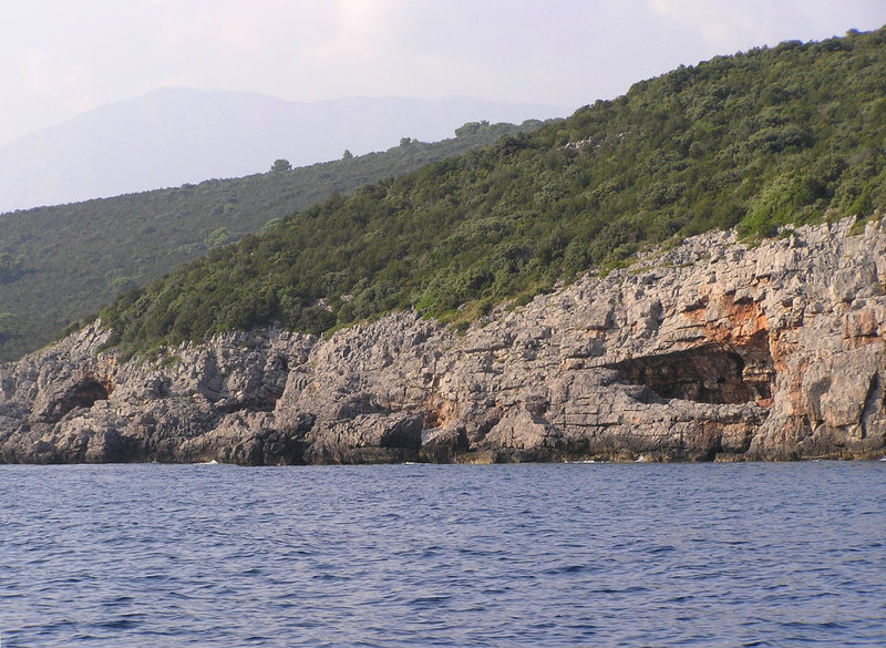 p9020038.jpg