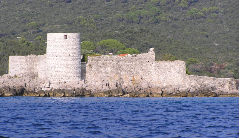 p9020039.jpg