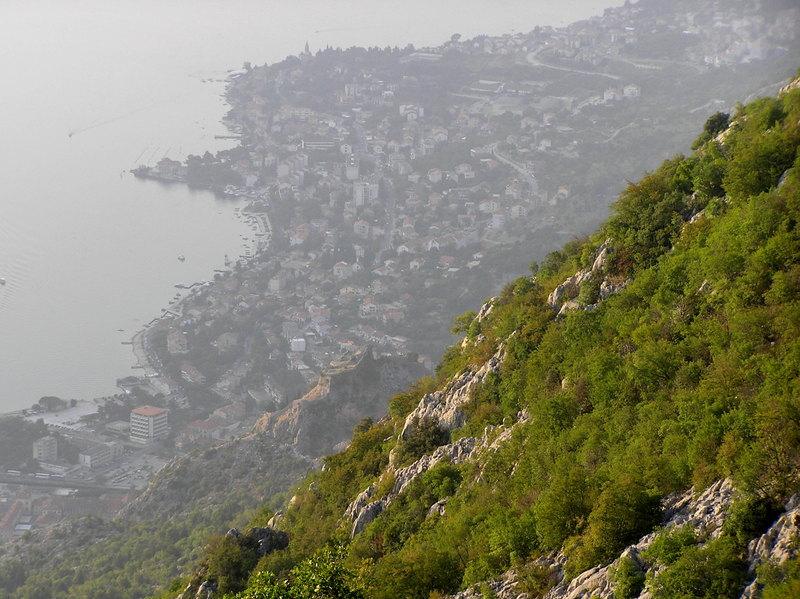 p9030060.jpg