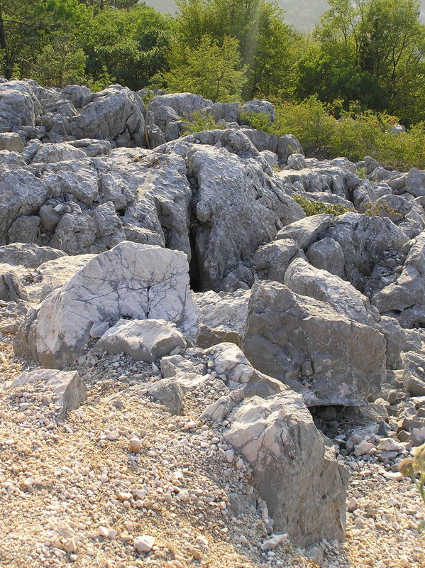 p9030064.jpg