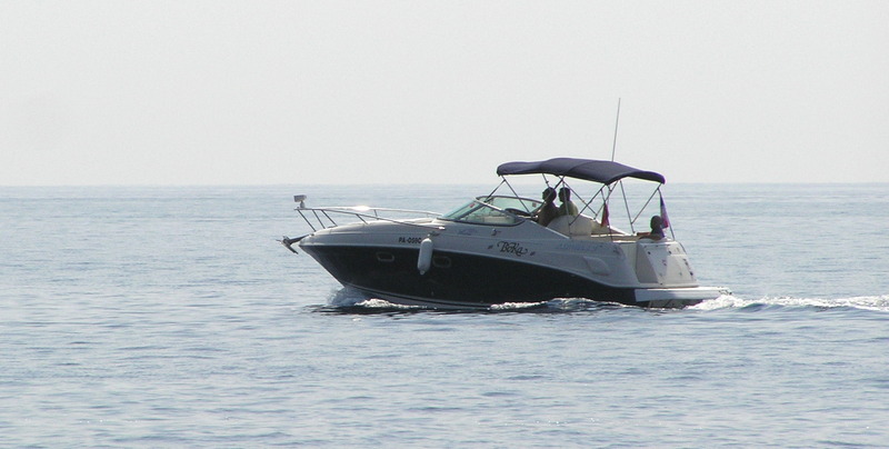 p9040071.jpg
