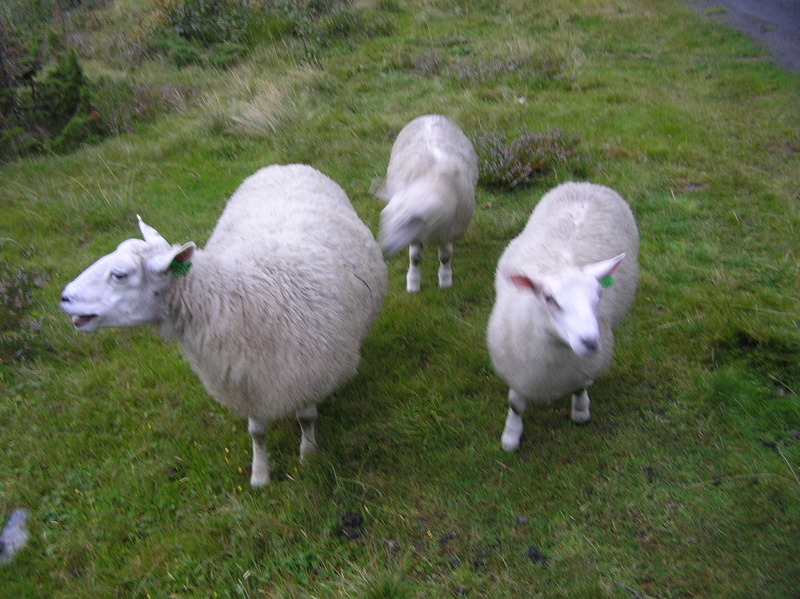 P8300400.JPG