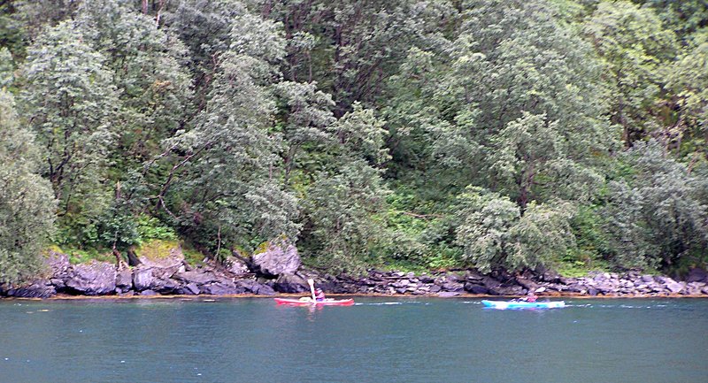 P8300452.JPG