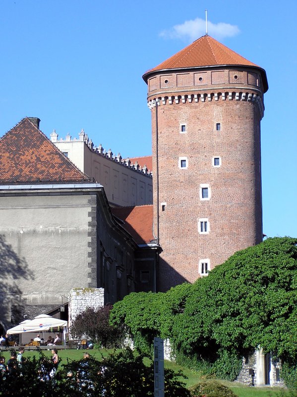 p7110238.jpg