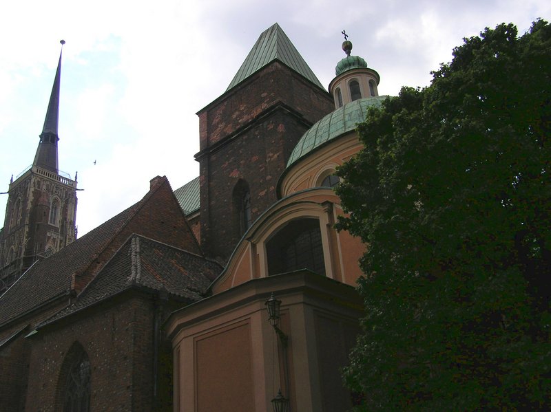 p7100173.jpg