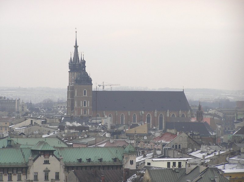 p1120005.jpg