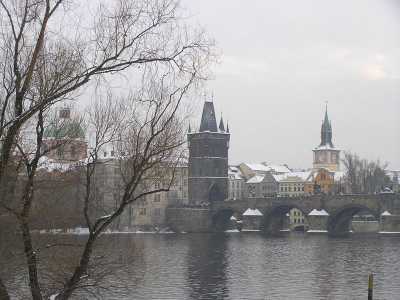 p1140082.jpg