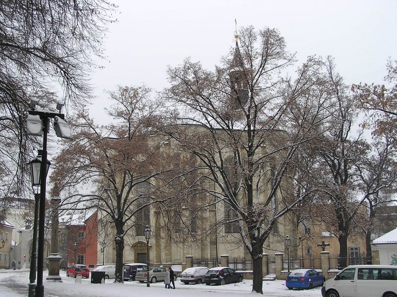 p1140036.jpg