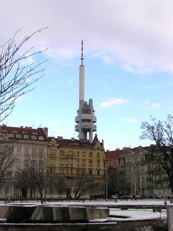 p1160171.jpg