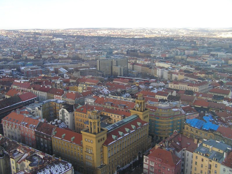 p1160175.jpg