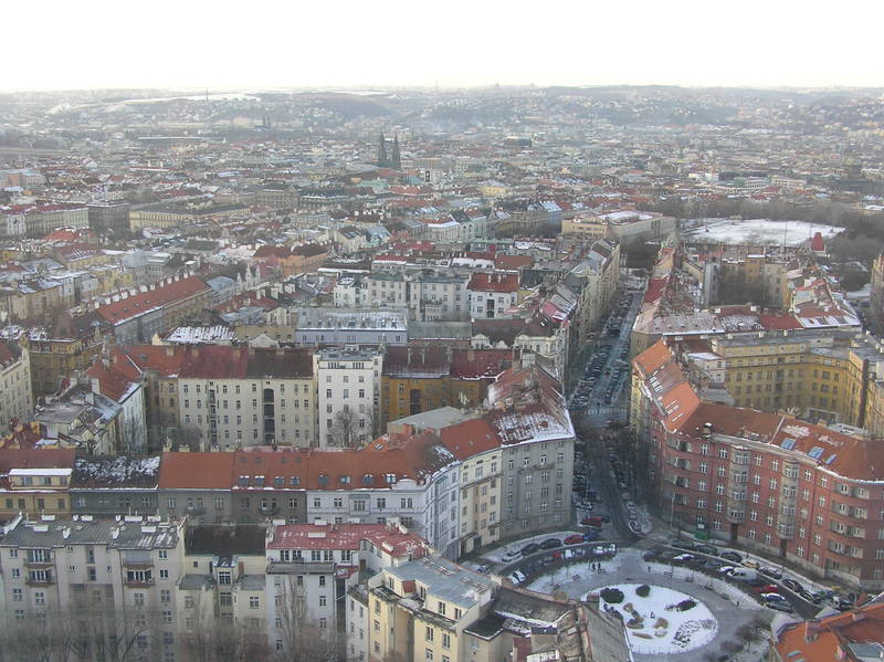 p1160176.jpg