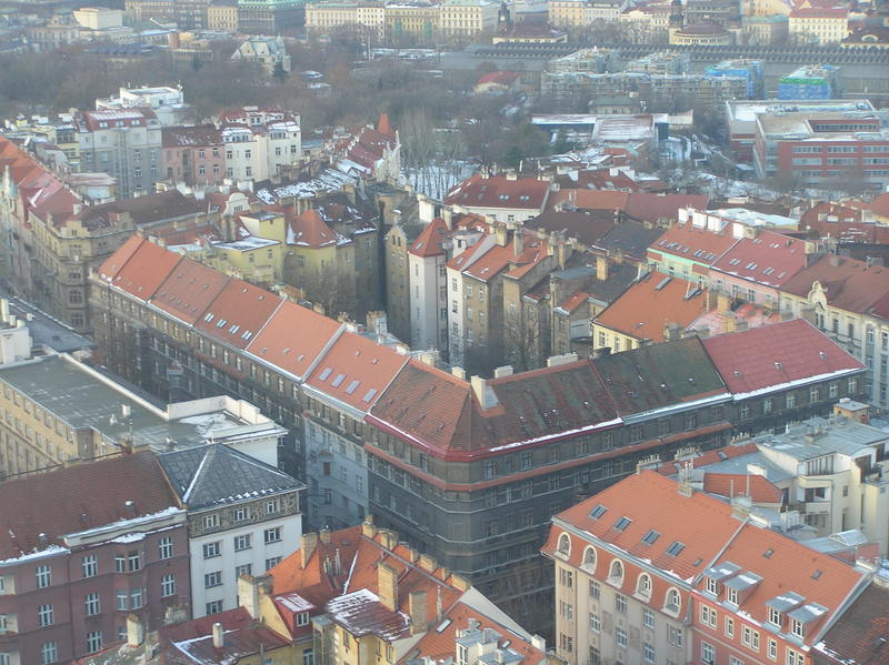 p1160178.jpg