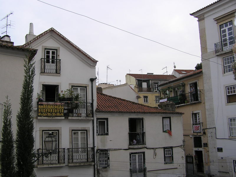 PA050231.JPG