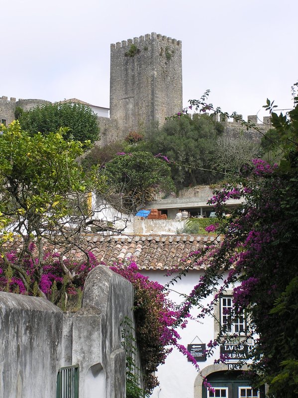 PA040167.JPG