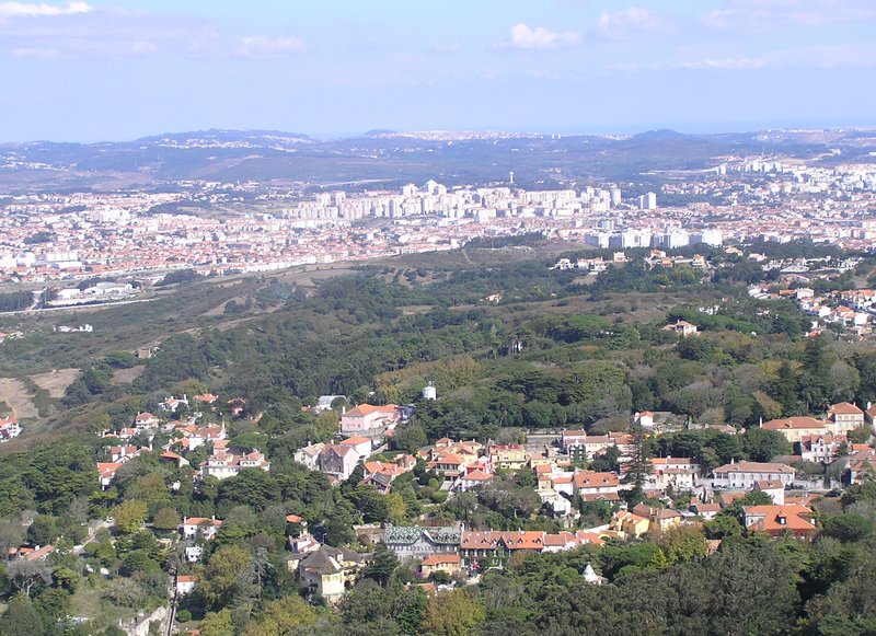 PA030117.JPG
