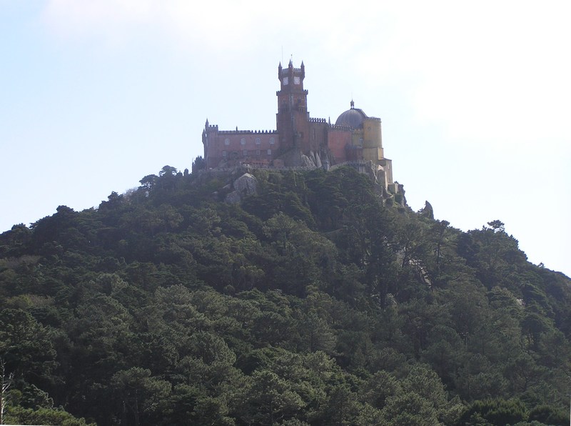 PA030119.JPG