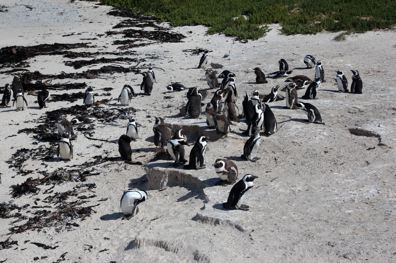 IMG_3199.JPG