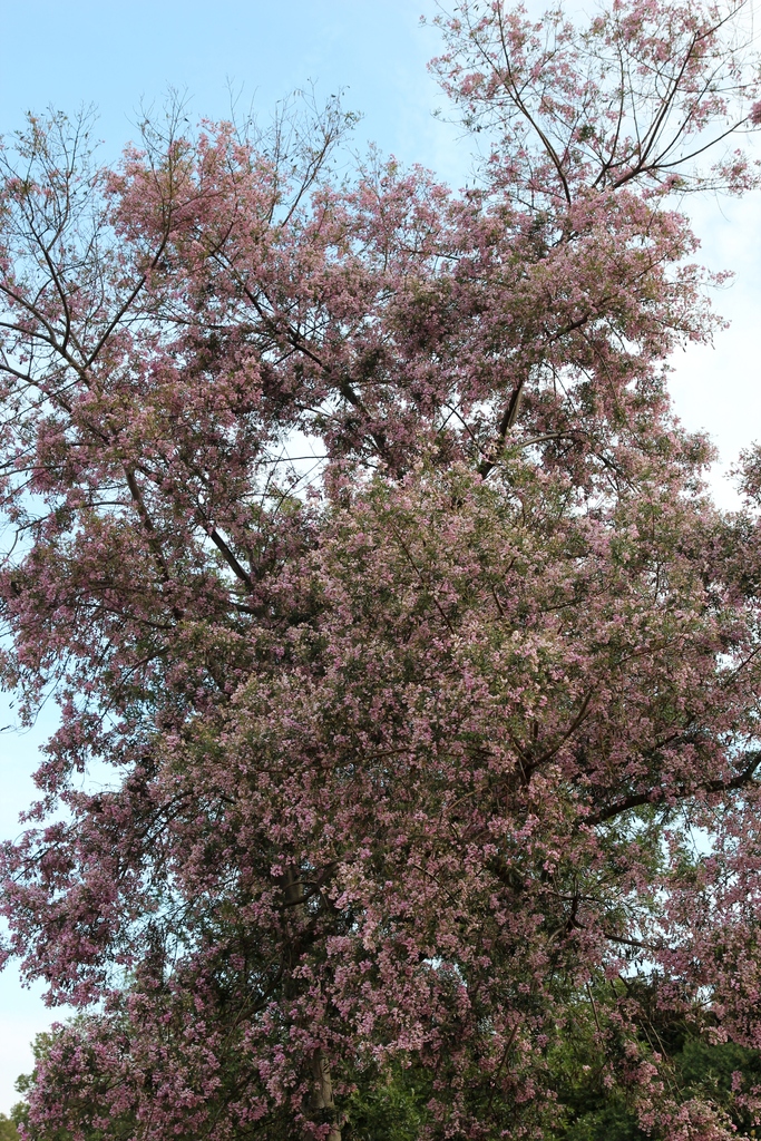 IMG_3492.JPG