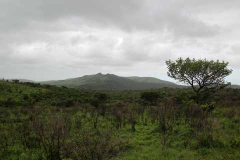 IMG_2675.JPG