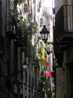 P4100062.JPG