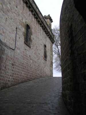 P4120134.JPG