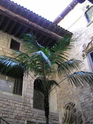 P4120171.JPG