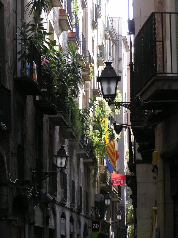 P4100062.JPG