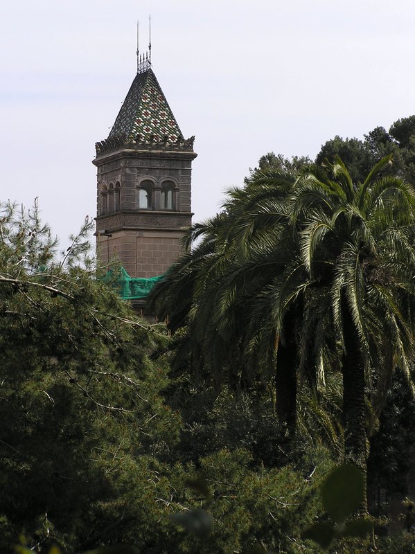 P4110086.JPG