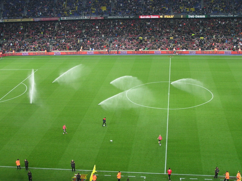 P4120117.JPG