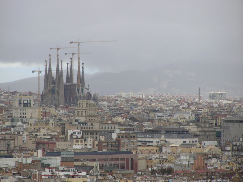 P4120119.JPG