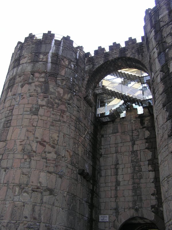 P4120147.JPG