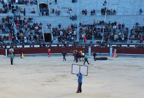 IMG_1412.JPG