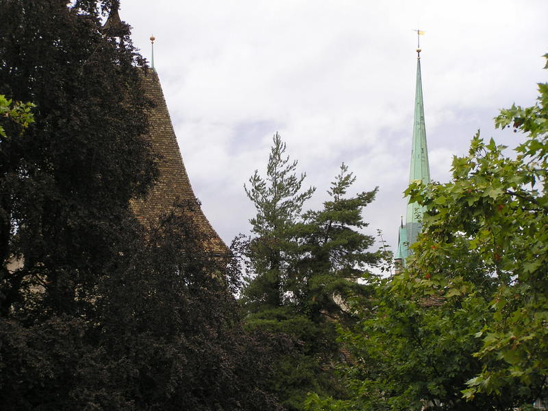 p8210047.jpg