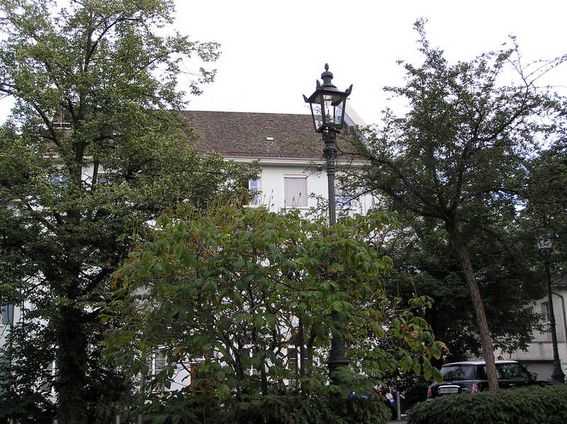 p8250129.jpg