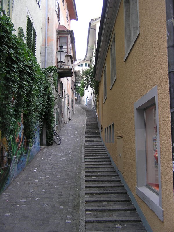 p8250135.jpg