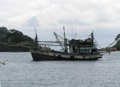 PA310207.JPG