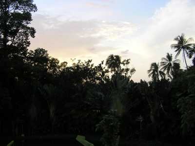 PB040243.JPG