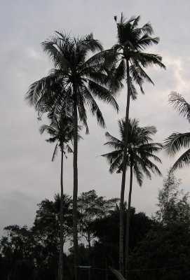 PB040246.JPG