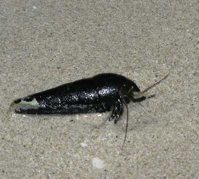 PB040267.JPG