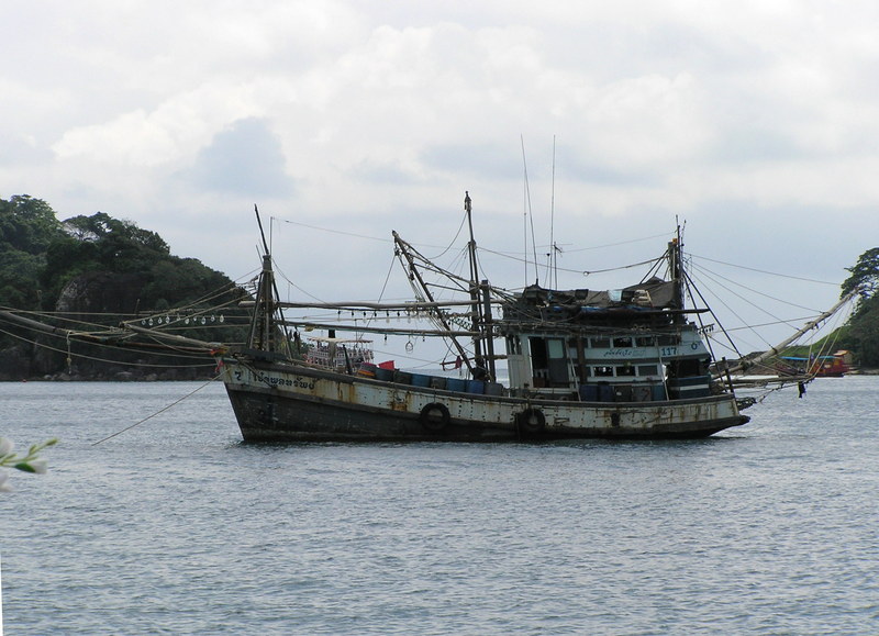PA310207.JPG