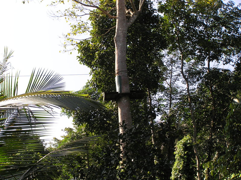 PB040215.JPG