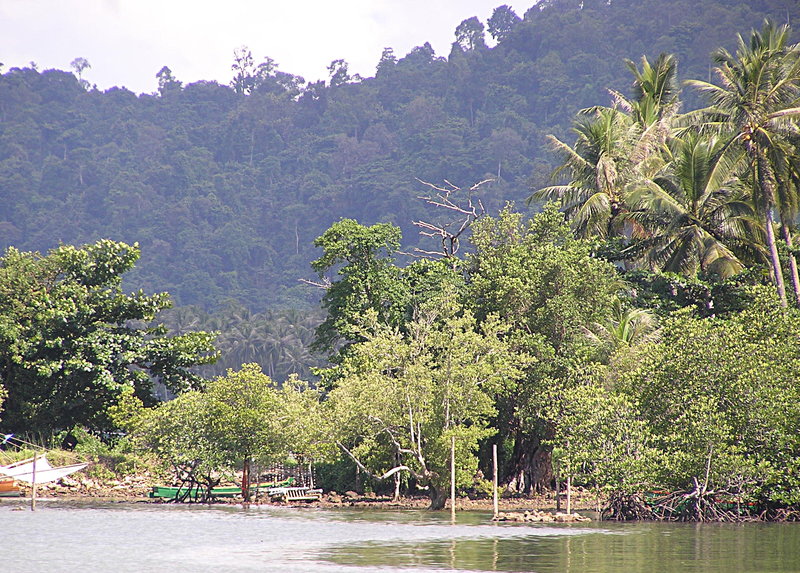 PB040231.JPG