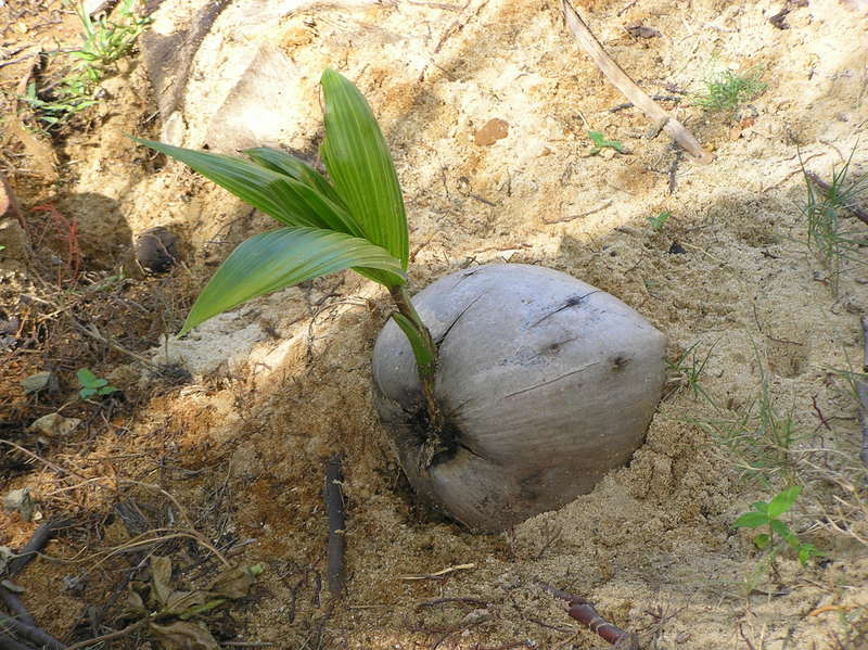 PB040237.JPG