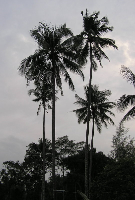 PB040246.JPG
