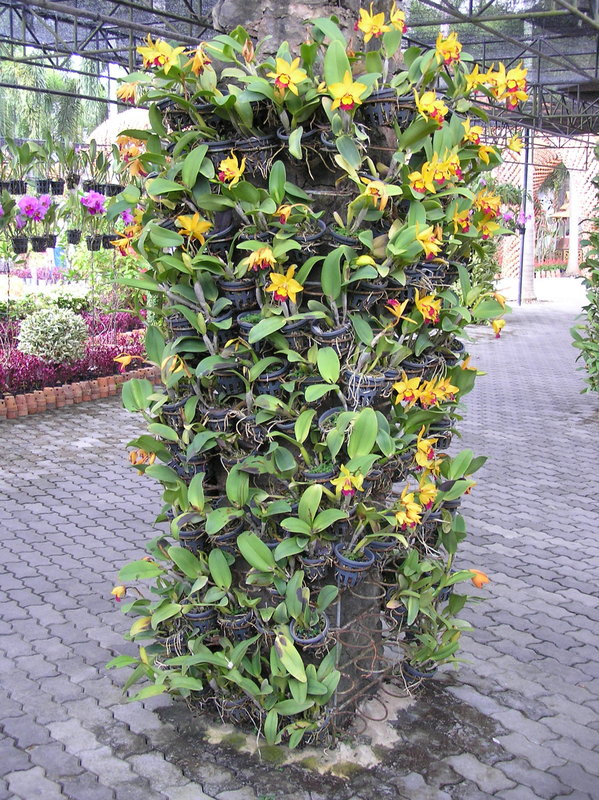PA280129.JPG