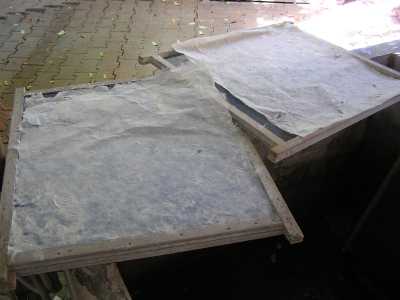 PA260039.JPG