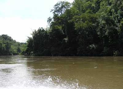 PA270106.JPG