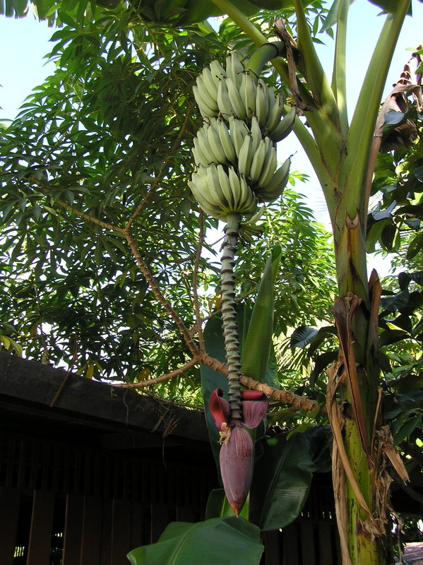 PA260021.JPG
